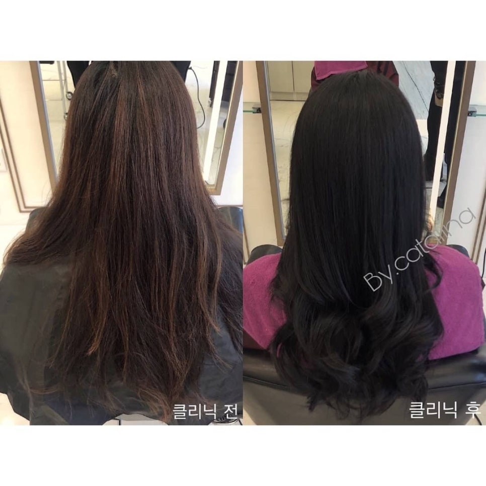 카타리나헤어 이미지