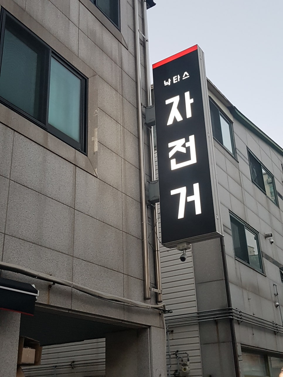 낙타스 이미지