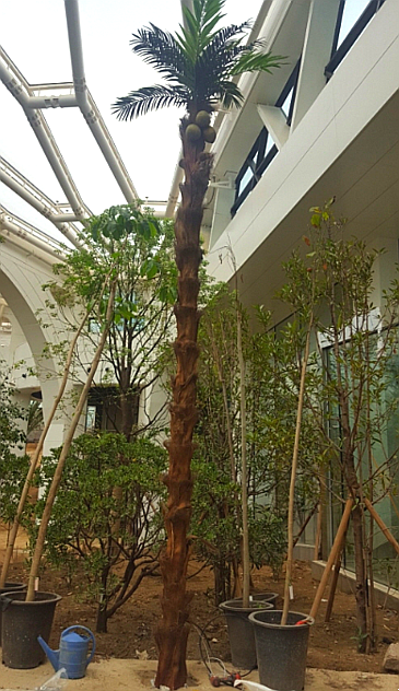 다원테크 이미지