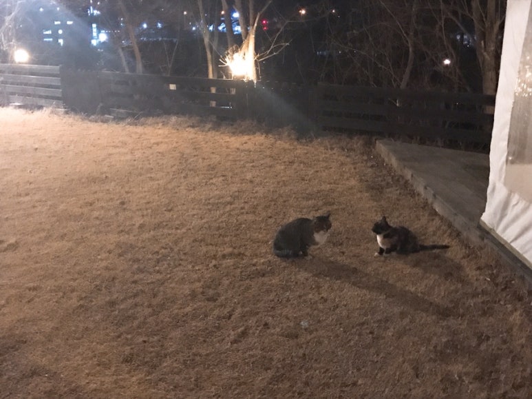 가평모닝필하우스 이미지