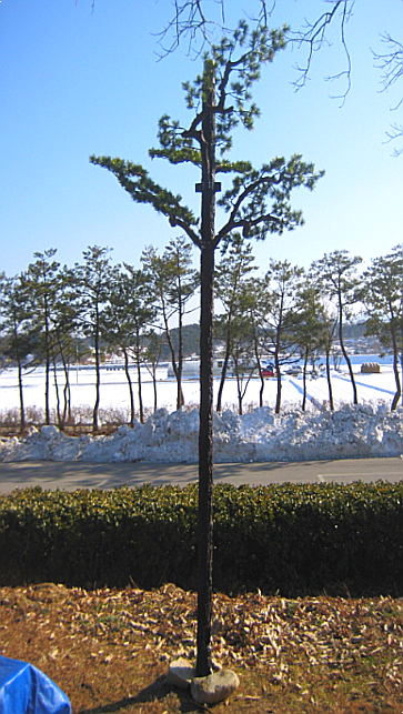 다원테크 이미지