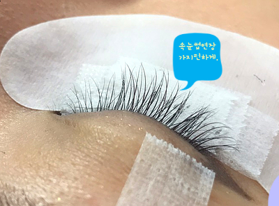 모모앤래쉬 이미지