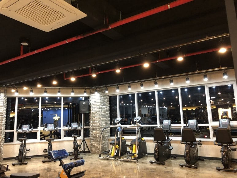 바디스타GYM 이미지