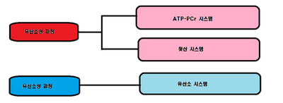 바른에너지 이미지