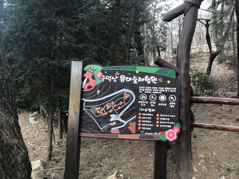 구덕산 유아숲체험원 이미지