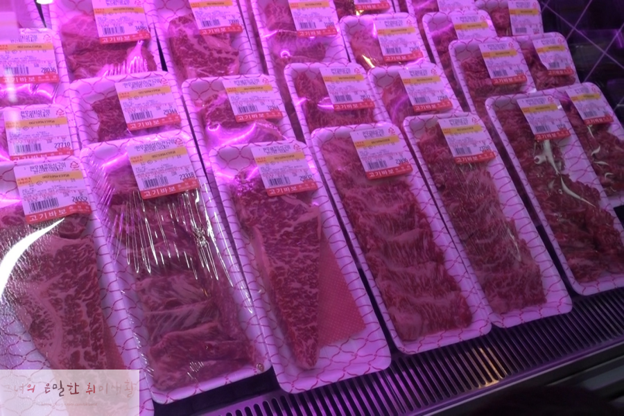 고기바보 이미지