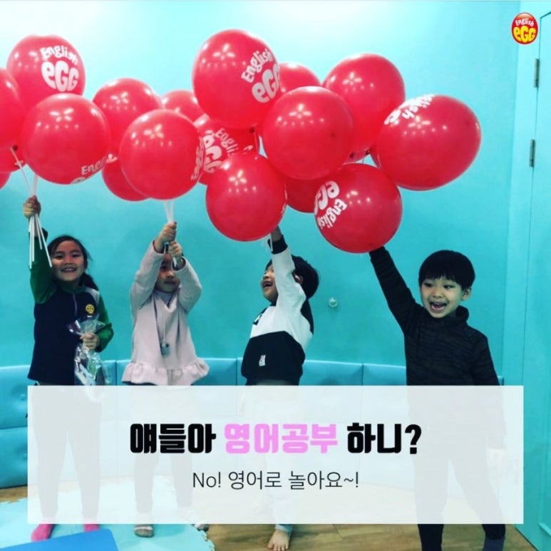 잉글리시에그 이미지