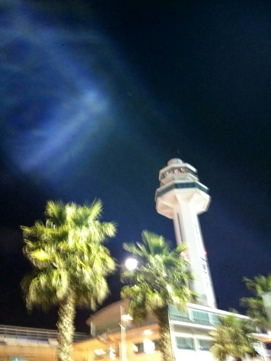 제주아우토 이미지