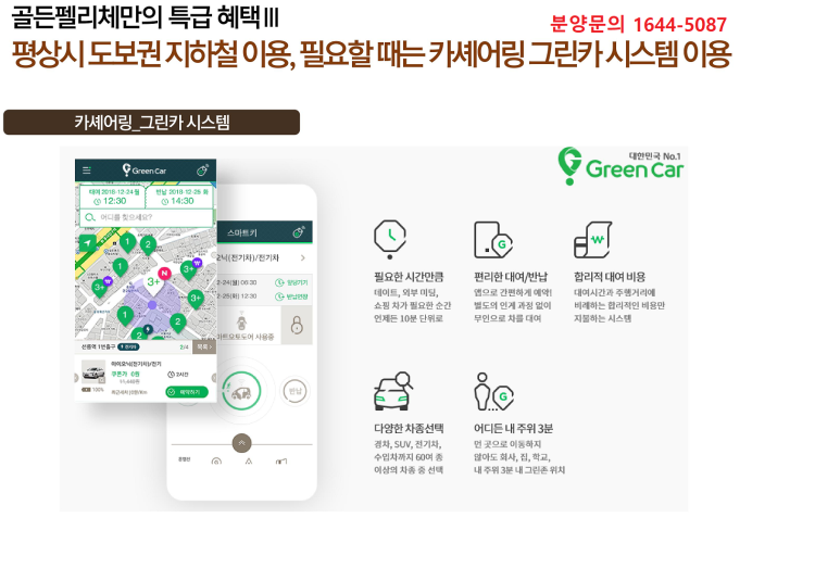 펠리체플러스 이미지