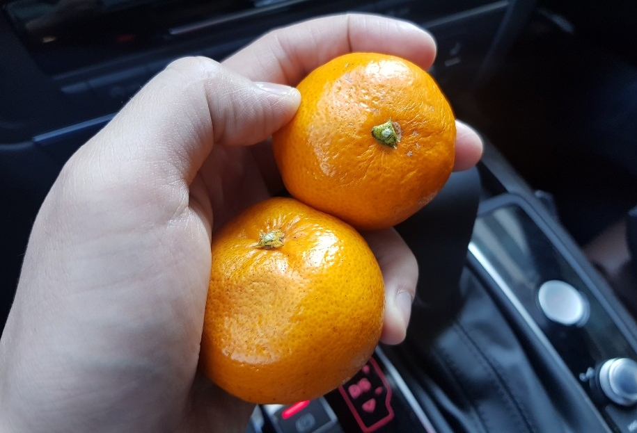우정밥상 이미지