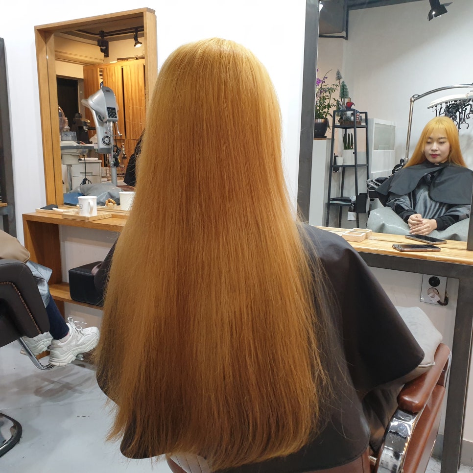 살롱드밍 이미지