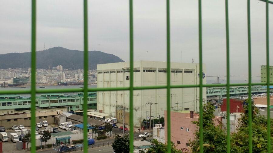 남부민초등학교 이미지