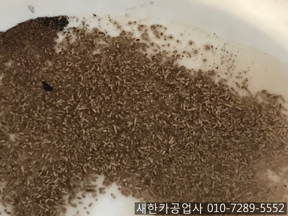 새한크리닝 이미지