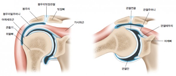 어울림한의원 이미지