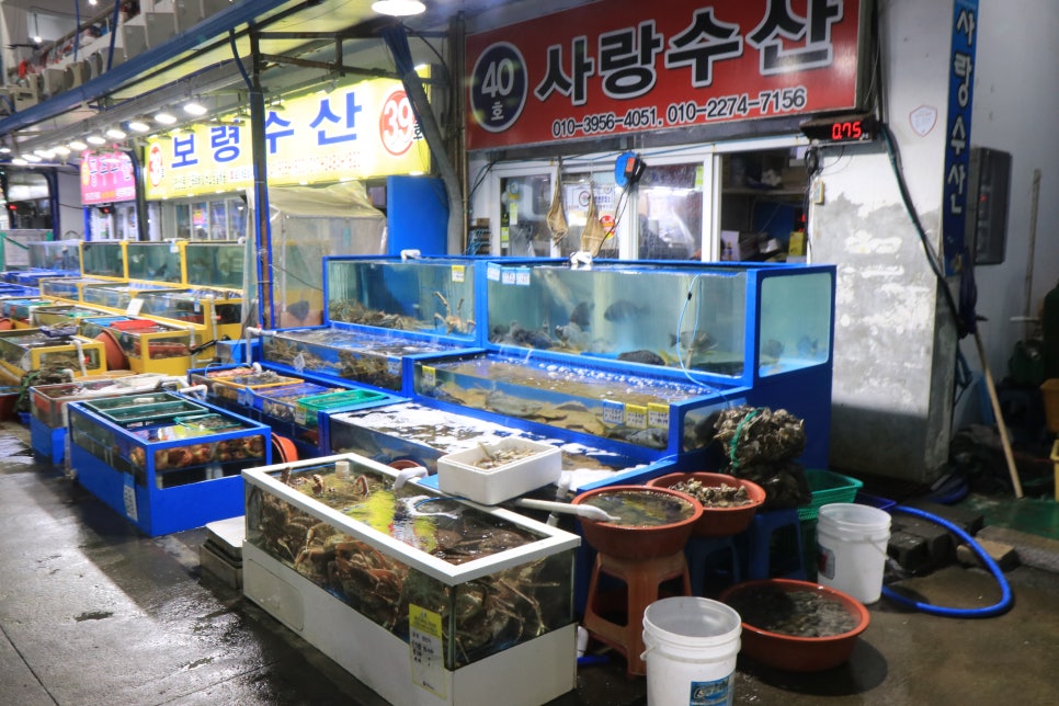 수산시장 이미지