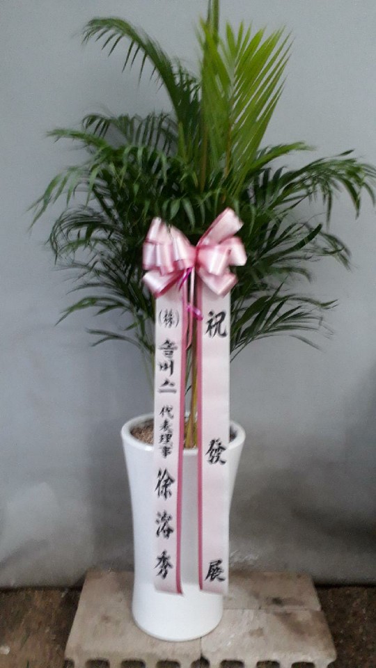 송림화원 이미지