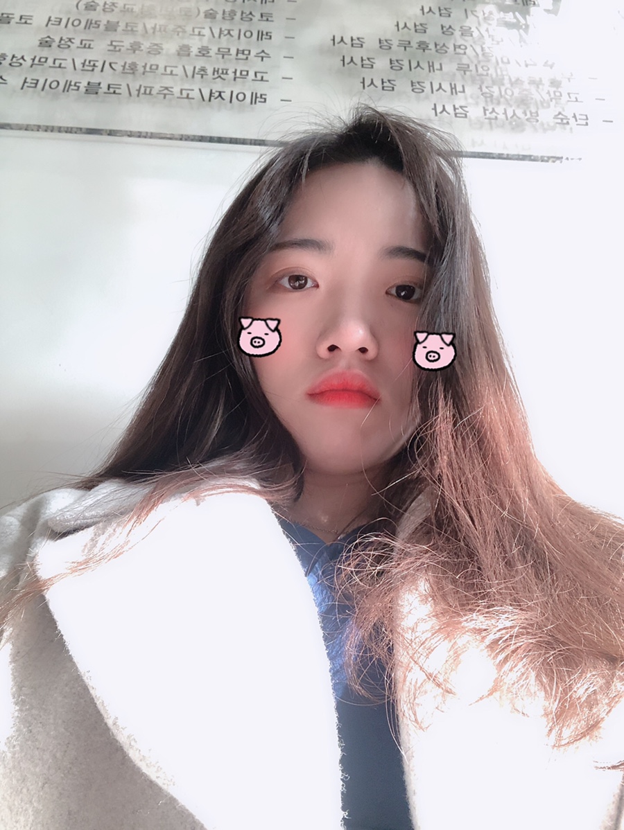 비제이여행사 이미지