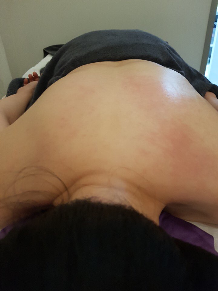 메종드에스떼 이미지