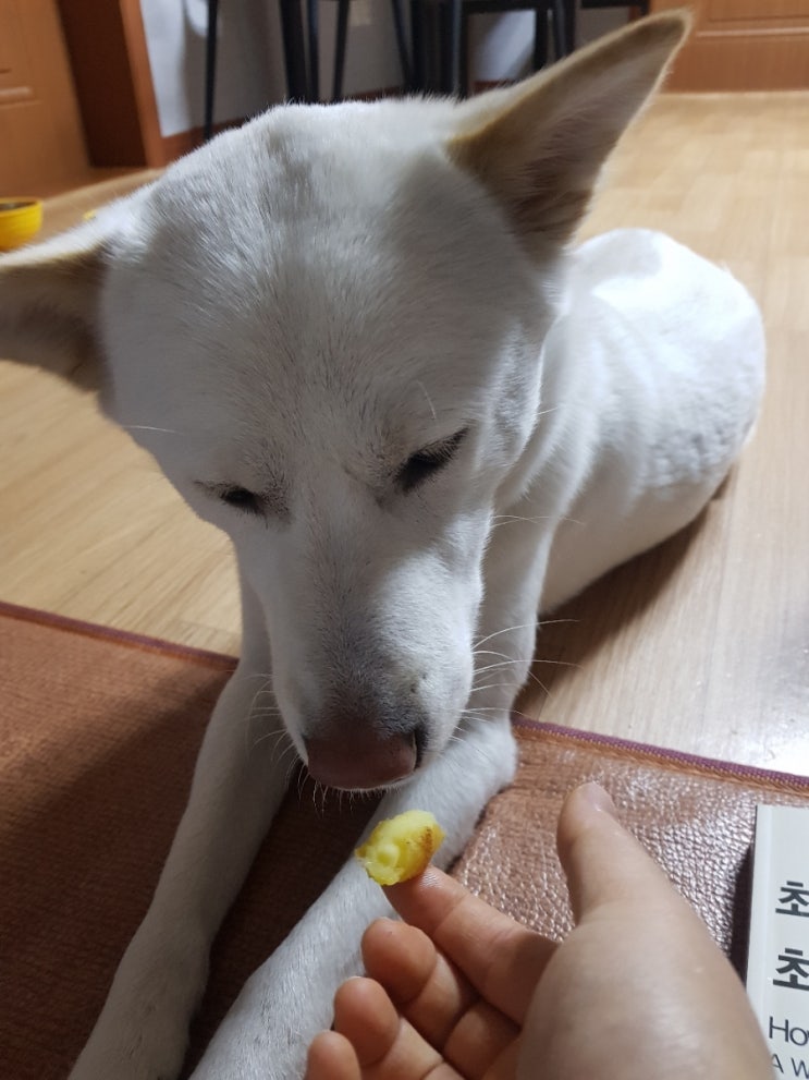 (유)맘식자재마트 이미지
