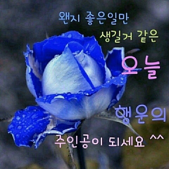 더나은안전컨설팅 이미지