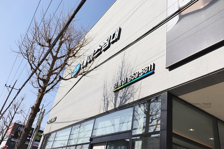 에이스침대에이스스퀘어강릉점 이미지