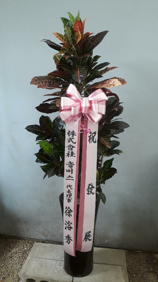 송림화원 이미지