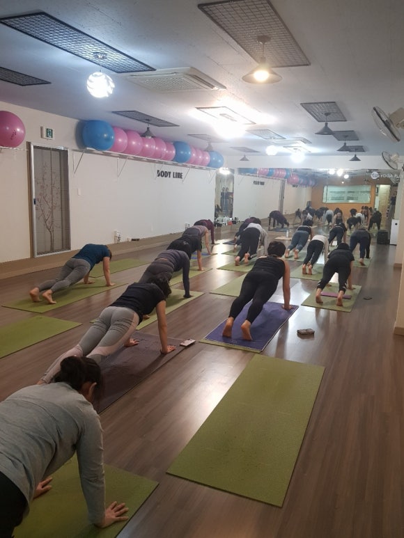 플러스화원 이미지