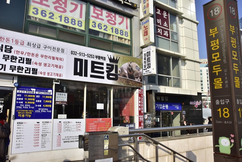 도야미트 이미지