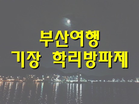 부산낚시 이미지