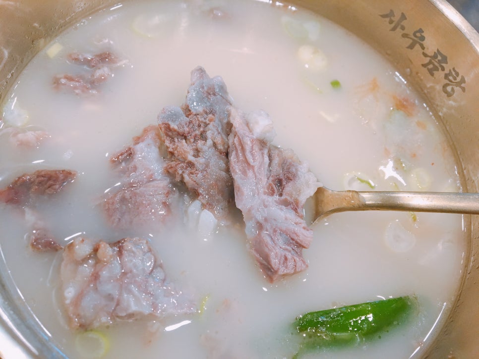 여행사우 이미지