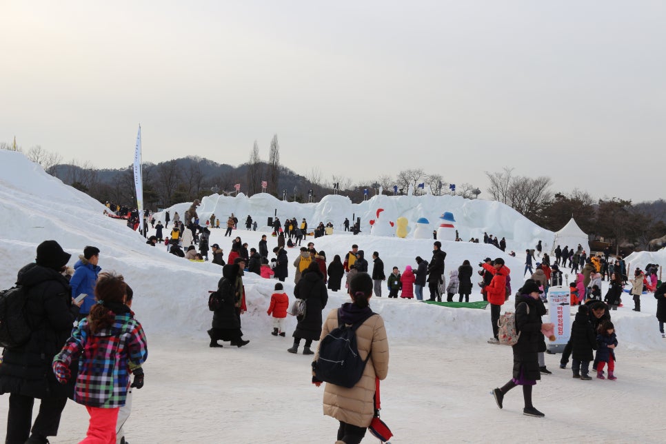 복돼지동산 이미지