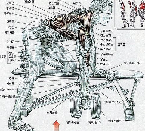 (주)덤벨이 이미지