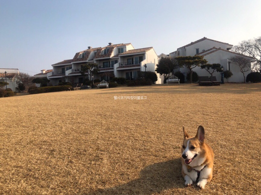 바다가쓴시 이미지