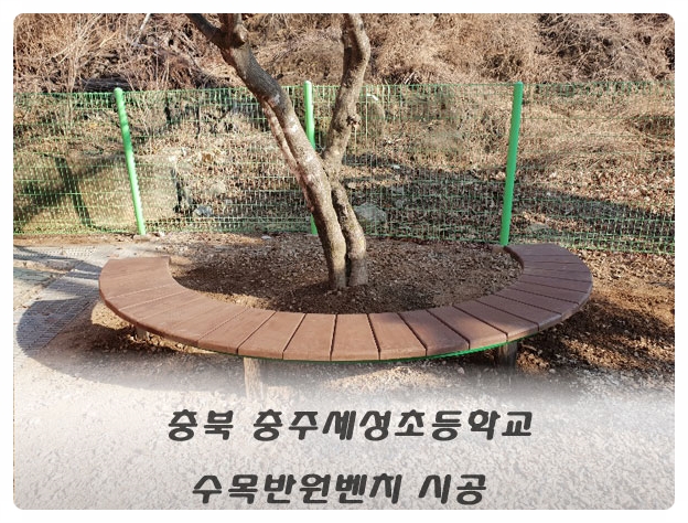 세성초등학교 이미지