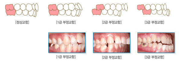 포유치과의원 이미지