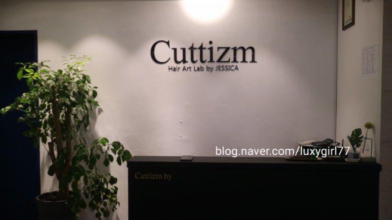 커티즘바이 이미지