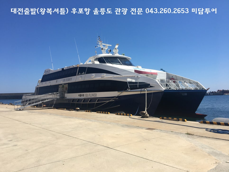 매일관광여행사 이미지