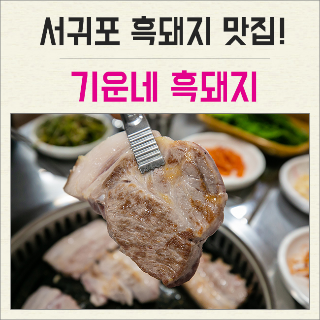 기운네흑돼지 이미지