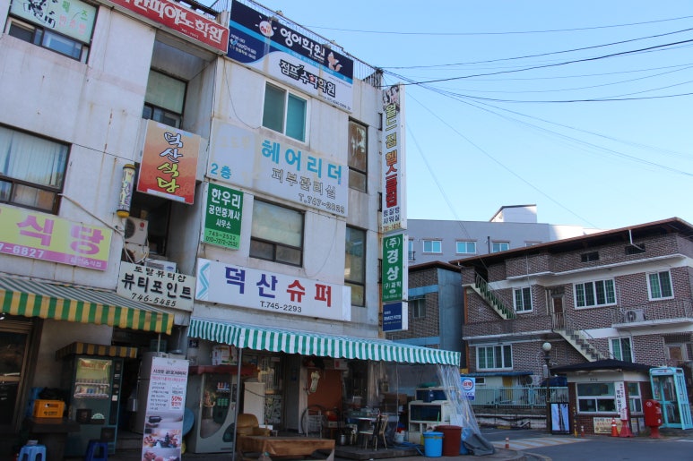 월드짐헬스클럽 이미지