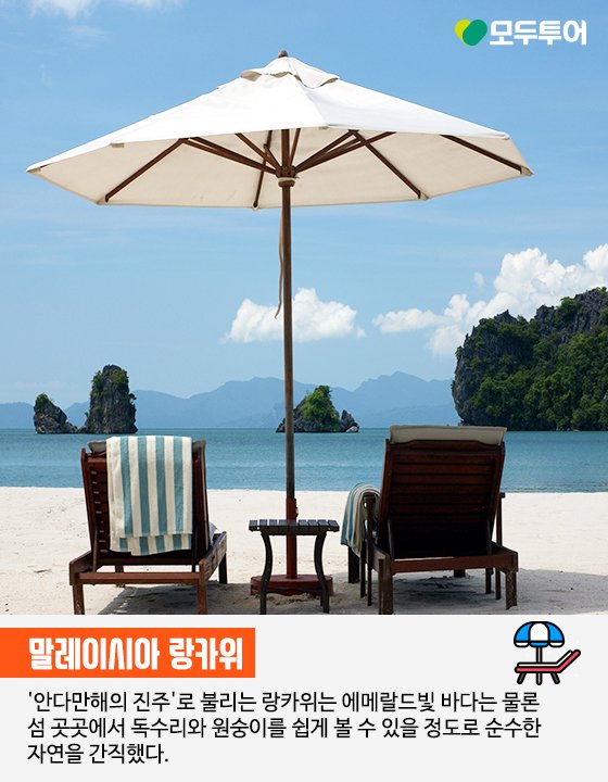 (주)여명여행 이미지