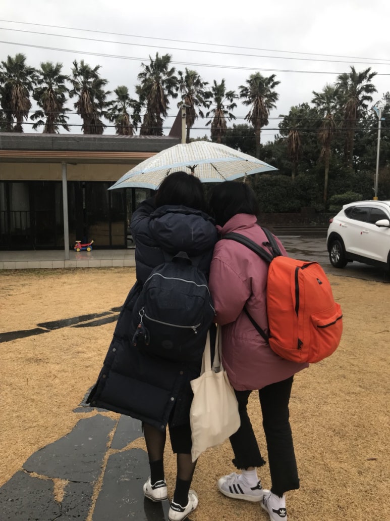 매일통닭 이미지