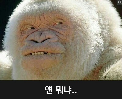최가네칼국수 이미지