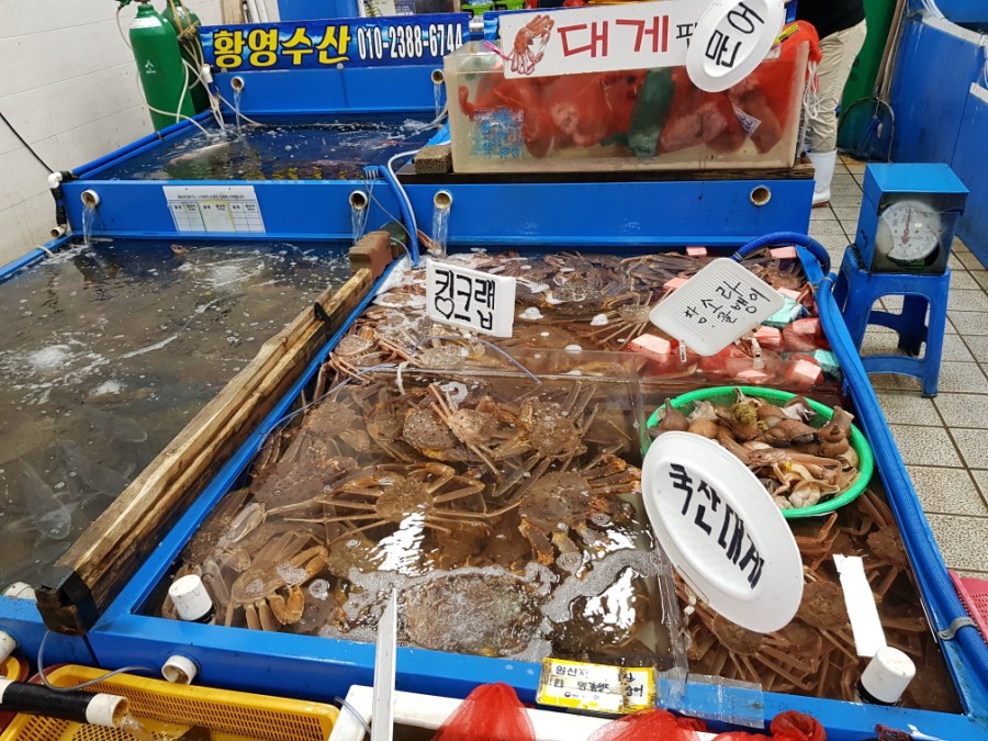 사라수산 이미지