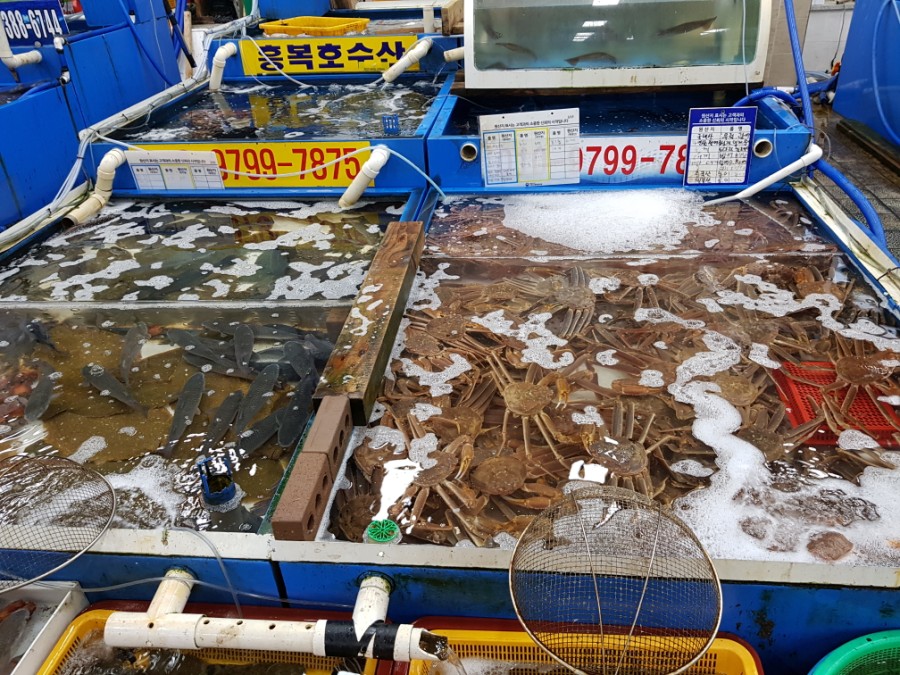 흥복식당 이미지