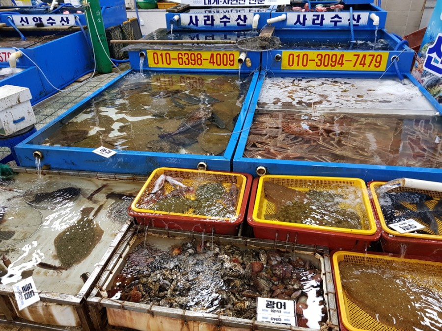 사라수산 이미지