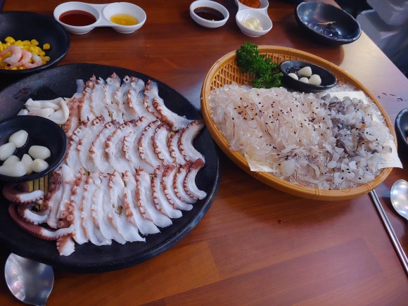 문어와산오징어 이미지