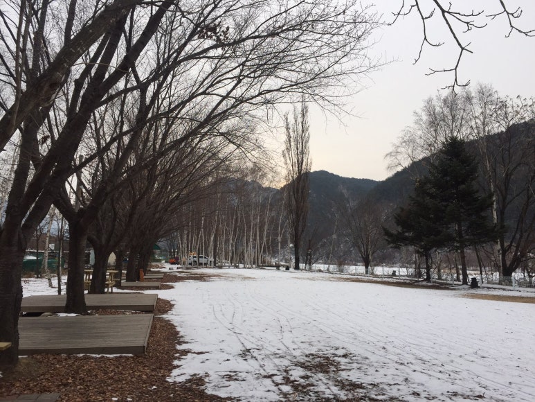 자작나무관광농원 이미지