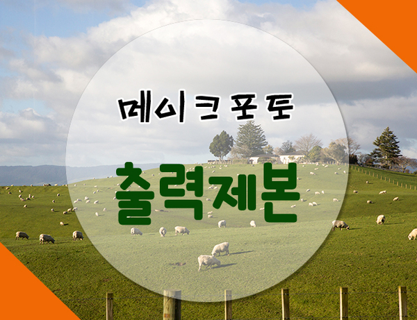 제일제본 이미지