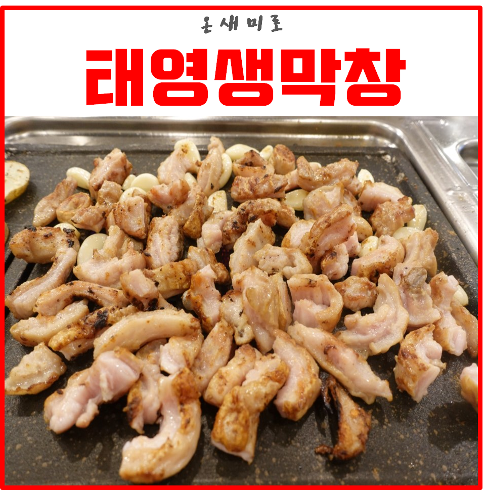 태영푸드 이미지
