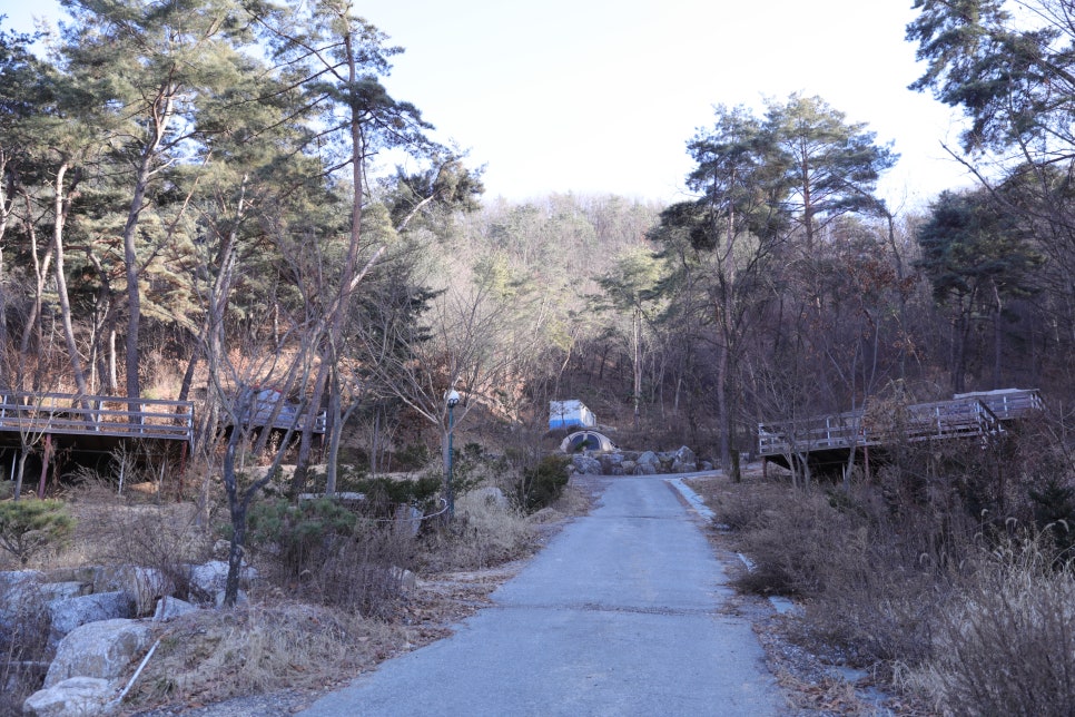 청담 관광농원 이미지